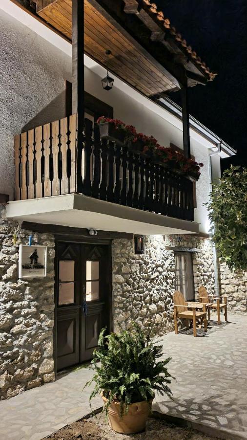 Villa Prespa Dolno Dupeni Extérieur photo
