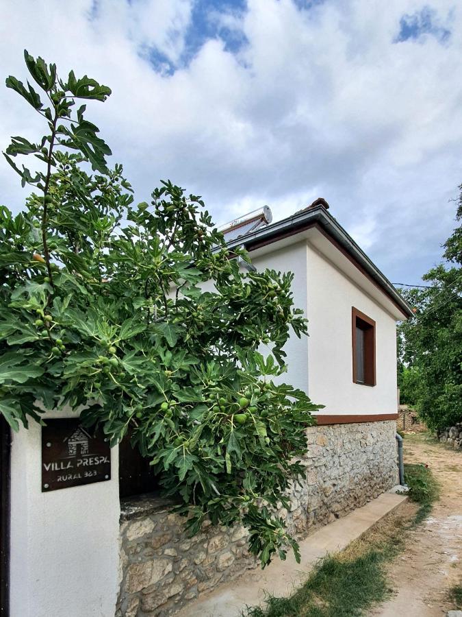 Villa Prespa Dolno Dupeni Extérieur photo