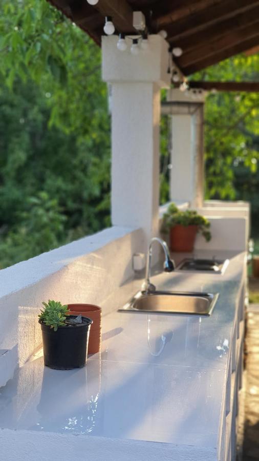 Villa Prespa Dolno Dupeni Extérieur photo
