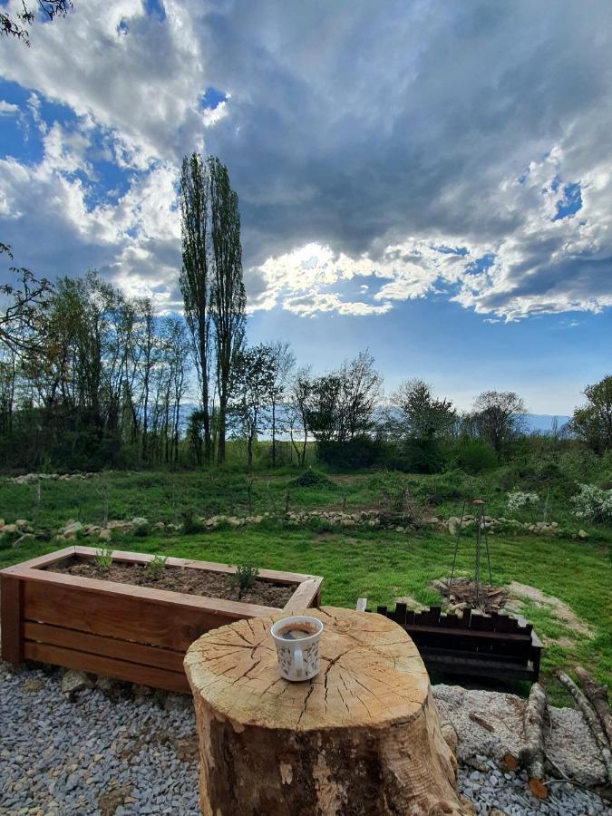 Villa Prespa Dolno Dupeni Extérieur photo