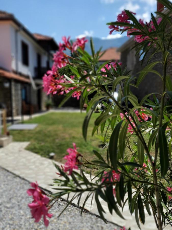 Villa Prespa Dolno Dupeni Extérieur photo