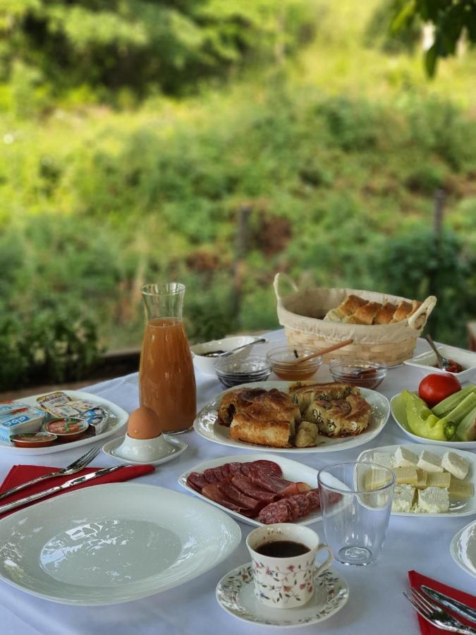 Villa Prespa Dolno Dupeni Extérieur photo