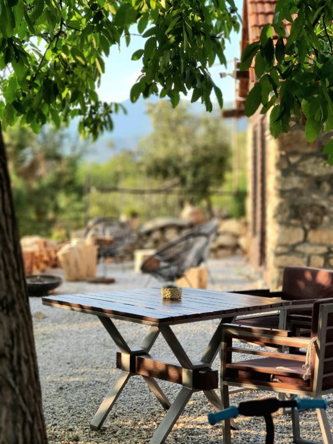 Villa Prespa Dolno Dupeni Extérieur photo
