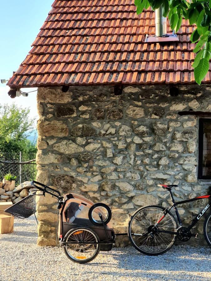 Villa Prespa Dolno Dupeni Extérieur photo